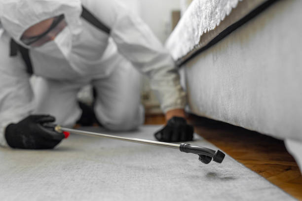Professional Pest Control technician working in Bainbridge Island, WA