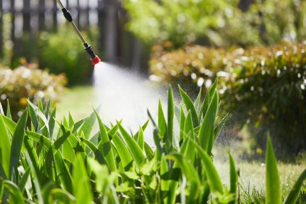 24/7 Emergency Cockroach Control experts in Bainbridge Island, WA