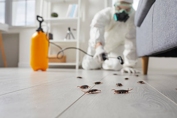 Trusted Fumigation Services service in Bainbridge Island, WA - Nex Pest Control