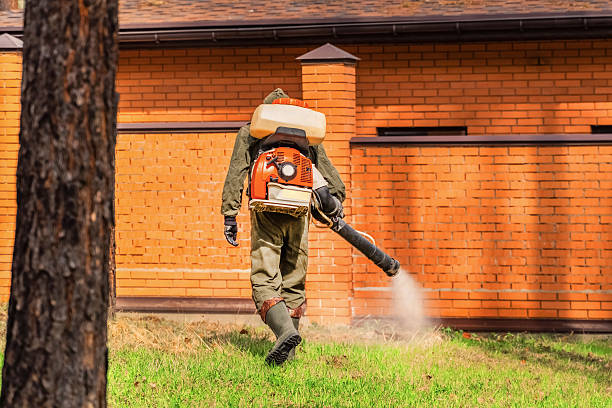 Trusted Cockroach Control service in Bainbridge Island, WA - Nex Pest Control